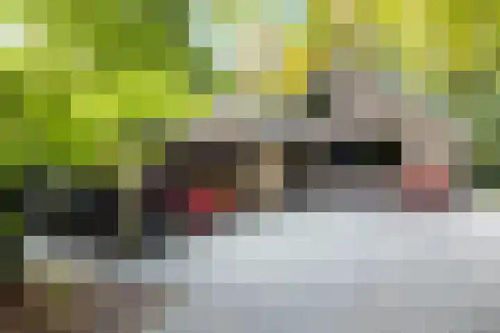 Heimanslaan 28 Wageningen thumbnail 64