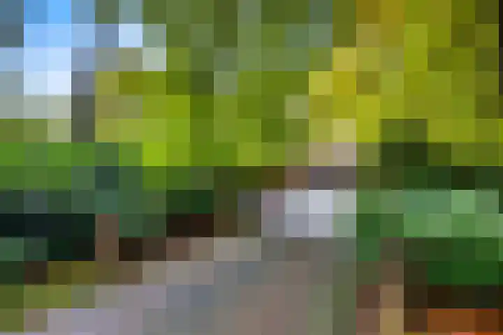 Heimanslaan 28 Wageningen thumbnail 65