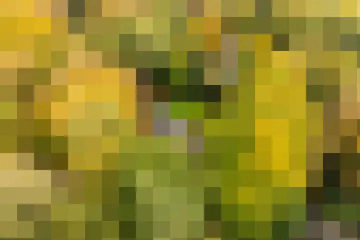 Heimanslaan 28 Wageningen thumbnail 67