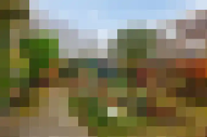 Heimansweg 54 Amsterdam thumbnail 36