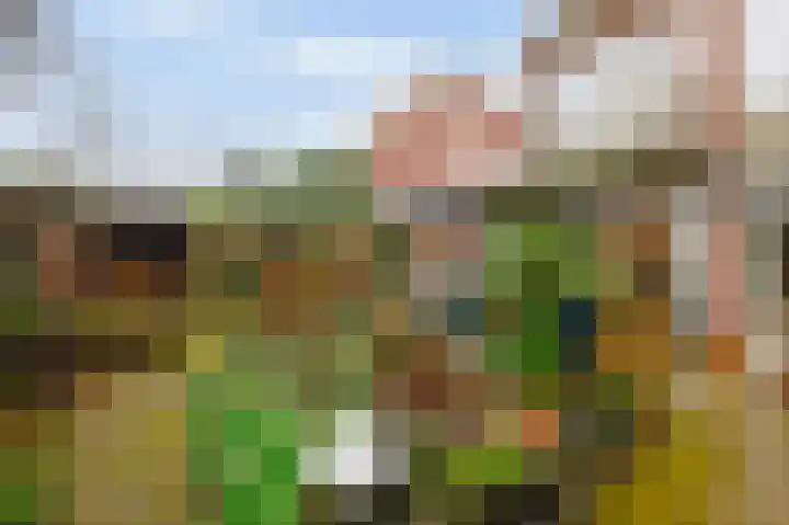 Heimansweg 54 Amsterdam thumbnail 38