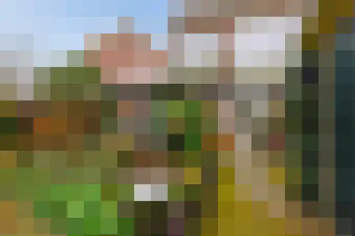 Heimansweg 54 Amsterdam thumbnail 39