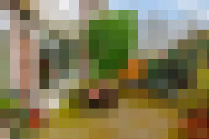 Heimansweg 54 Amsterdam thumbnail 40