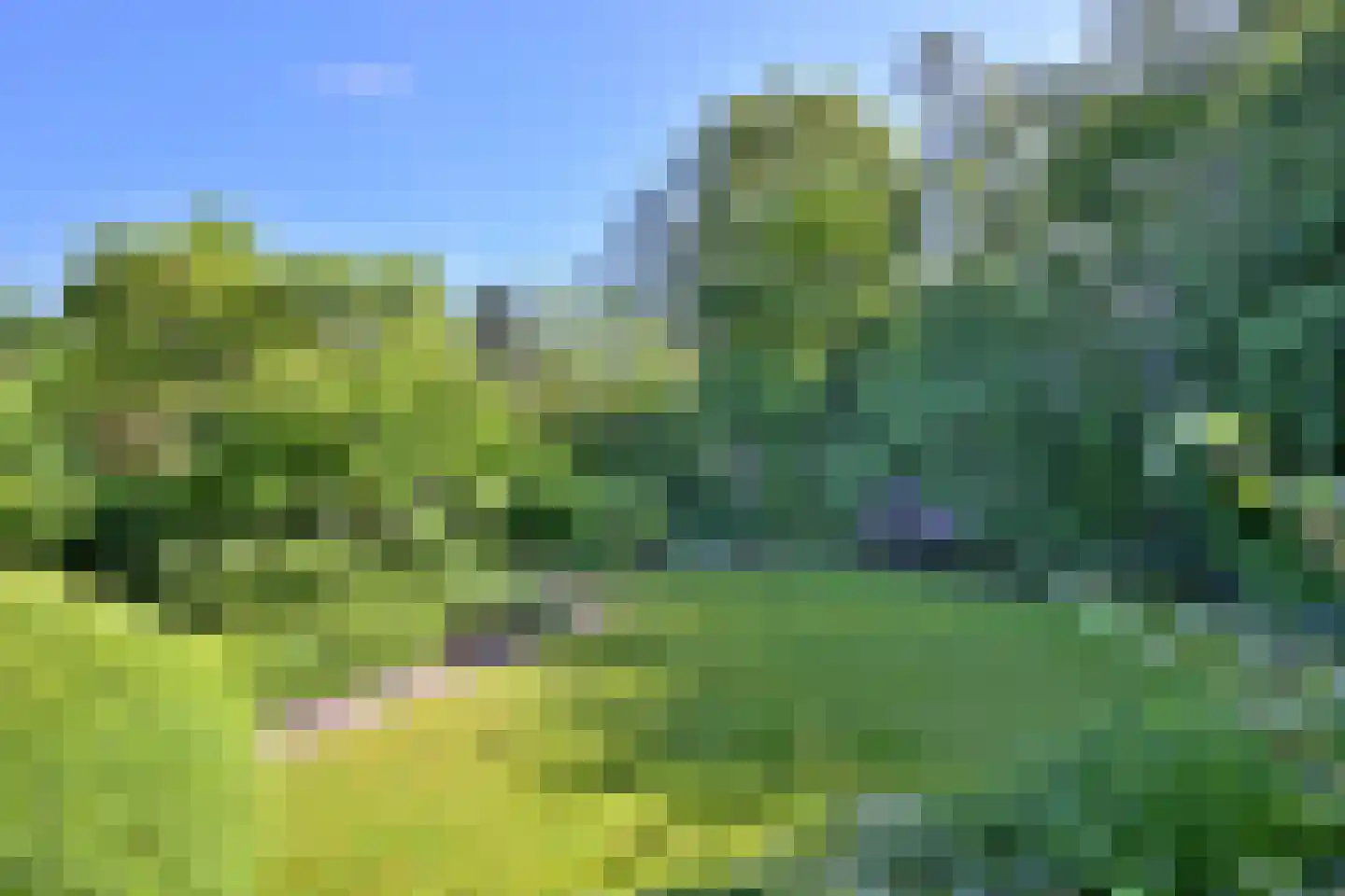 Heimansweg 9 Deventer thumbnail 14