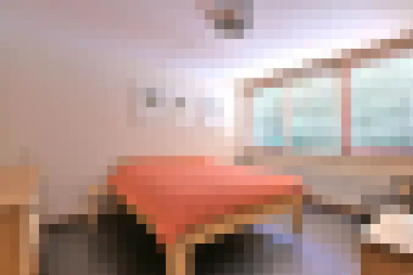 Heimansweg 9 Deventer thumbnail 20