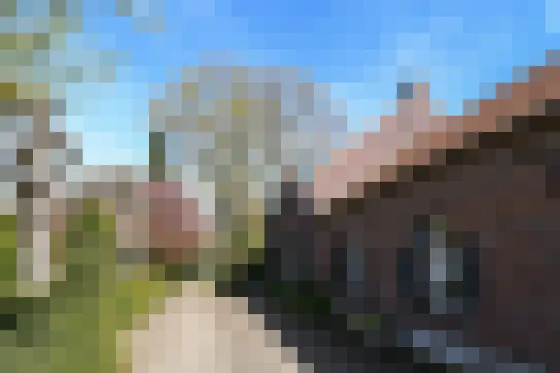 Heimarkt 2 Heythuysen thumbnail 4
