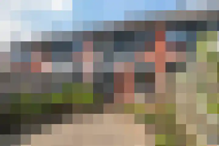 Heimerstein 17 Dordrecht thumbnail 28