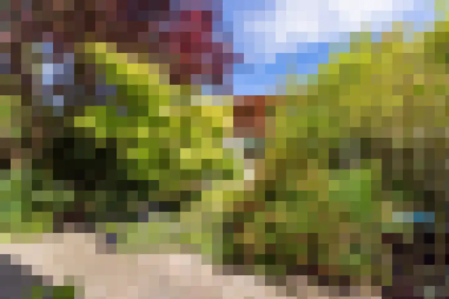 Heimerstein 20 Dordrecht thumbnail 38