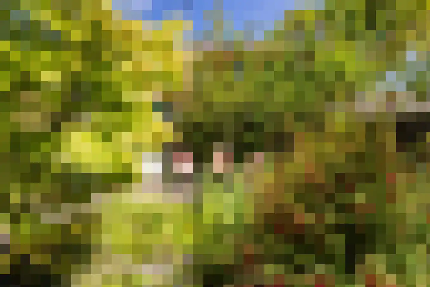 Heimerstein 20 Dordrecht thumbnail 42
