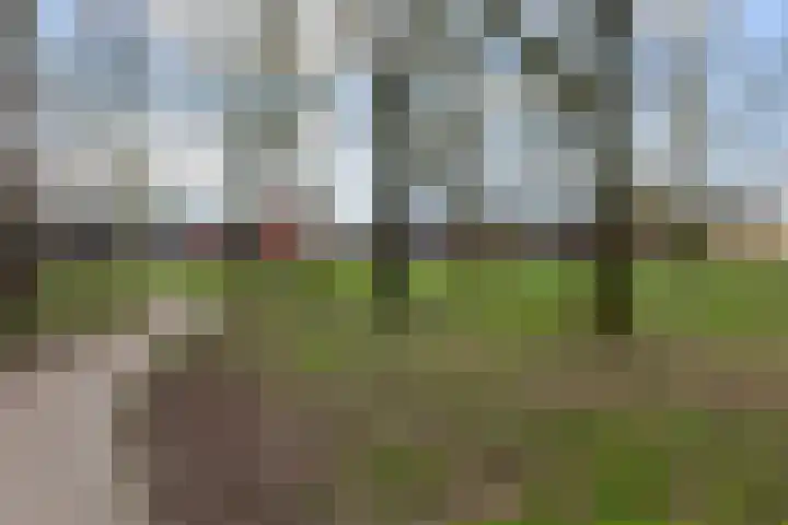 Heimerstein 39 Dordrecht thumbnail 47