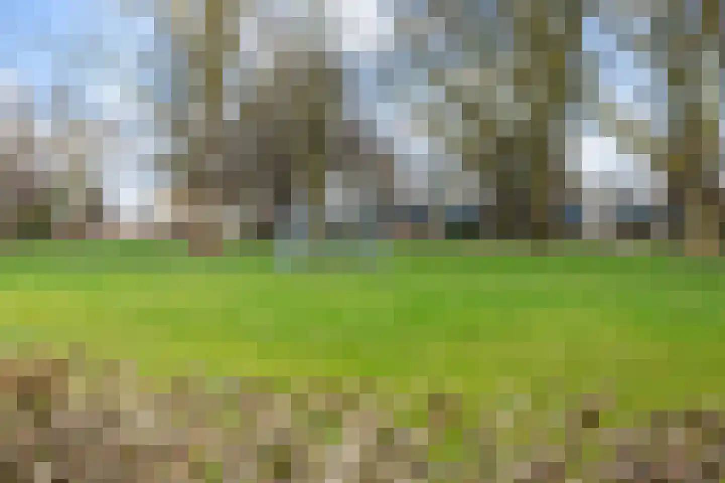 Heimerstein 39 Dordrecht thumbnail 48