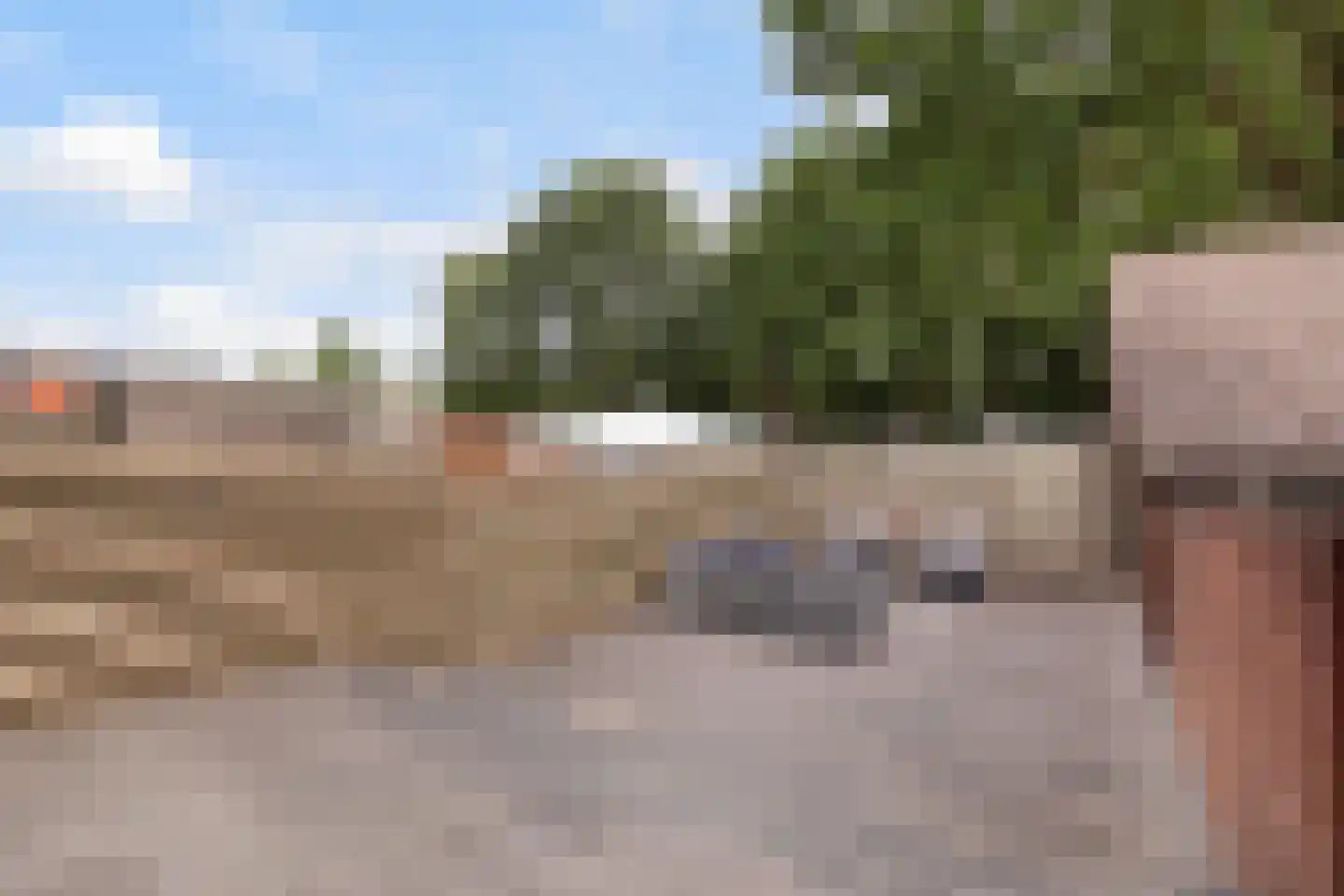Heimerstein 46 Dordrecht thumbnail 17