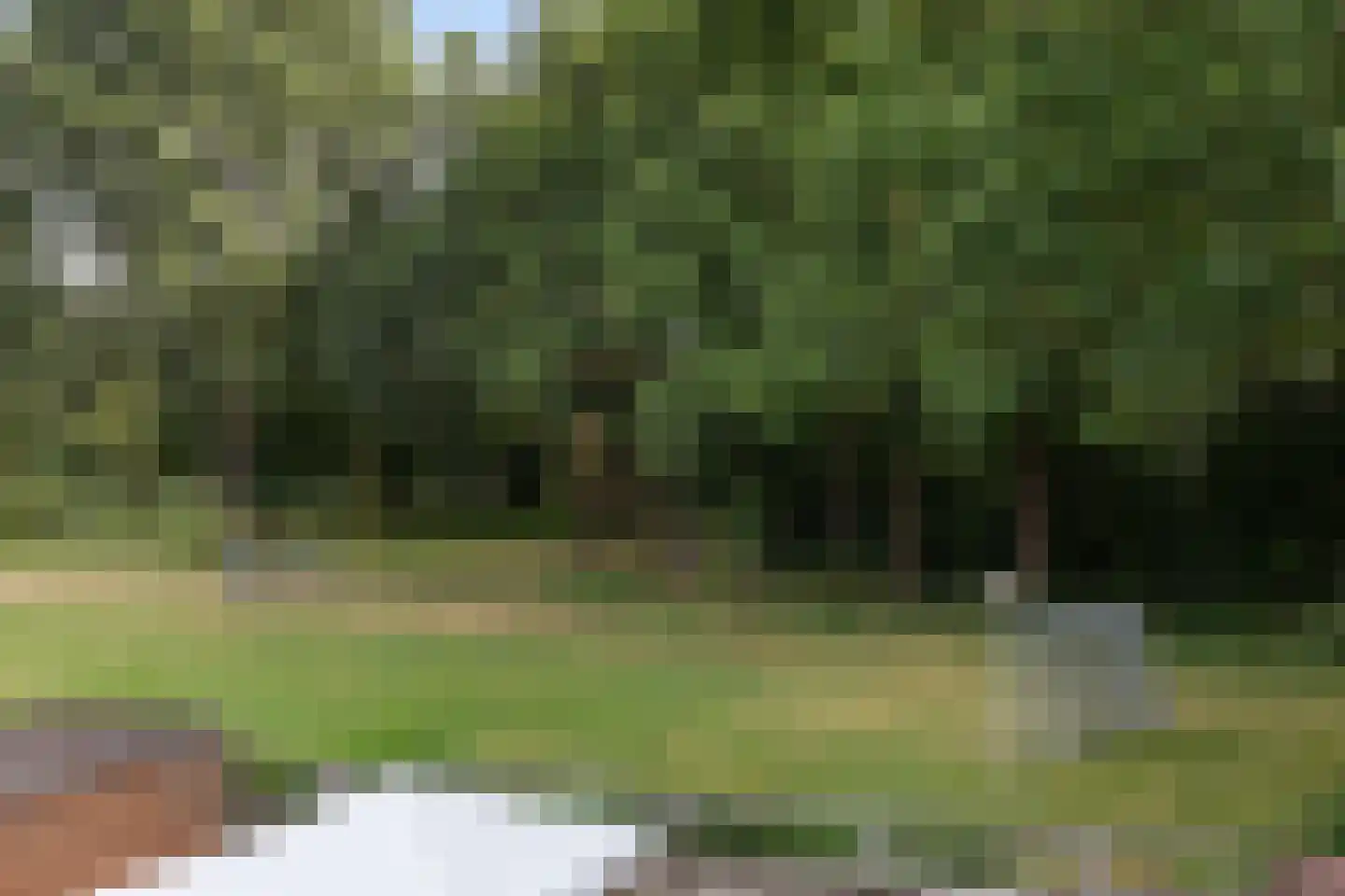 Heimerstein 46 Dordrecht thumbnail 18