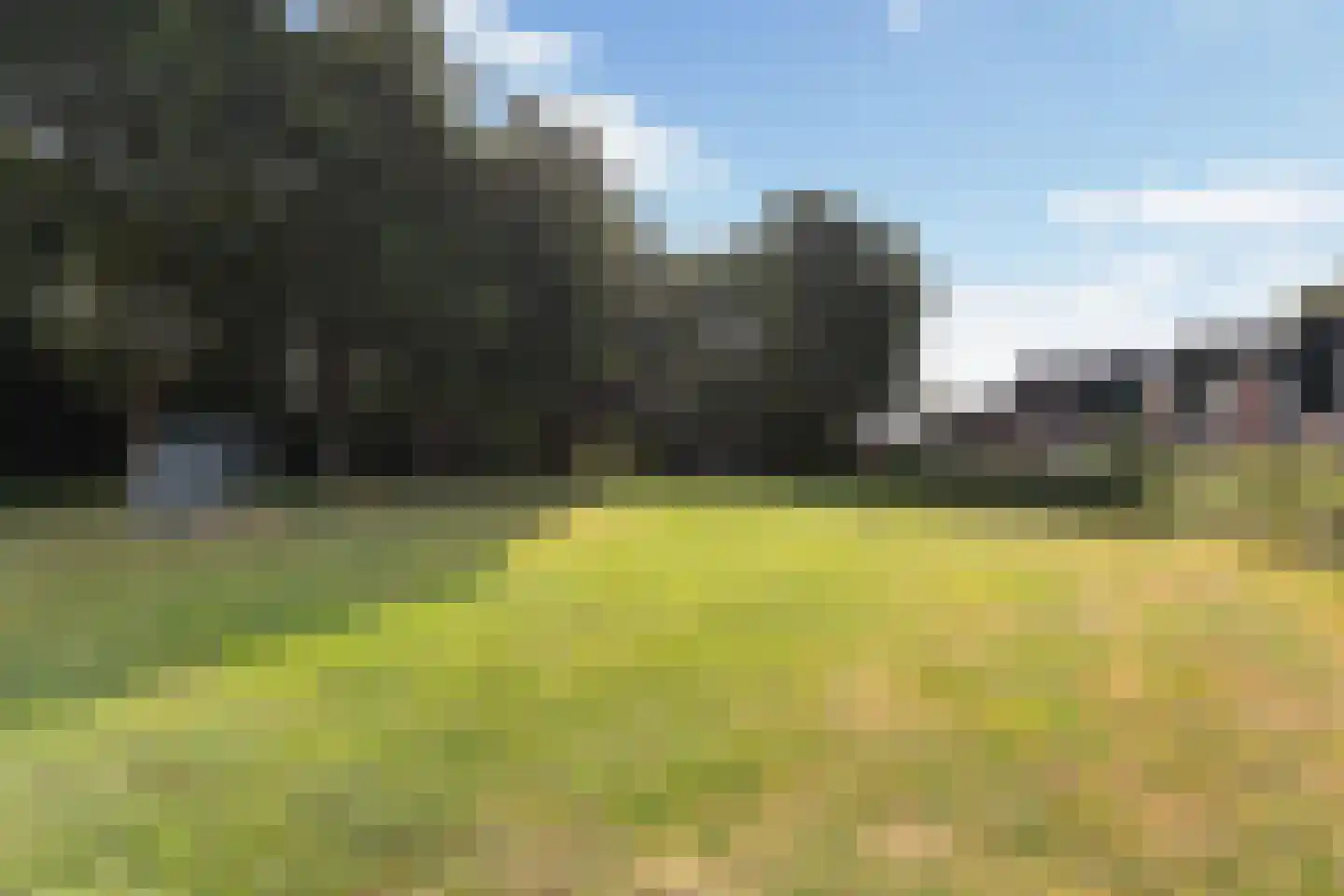 Heimerstein 46 Dordrecht thumbnail 31