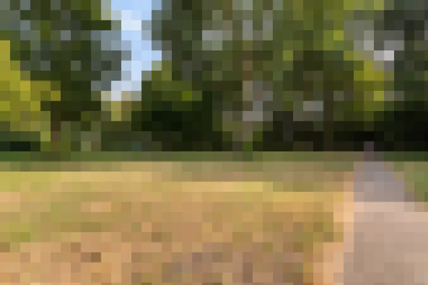 Heimerstein 46 Dordrecht thumbnail 32