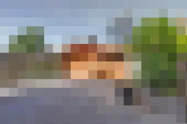Heimerstein 72 Dordrecht thumbnail 4