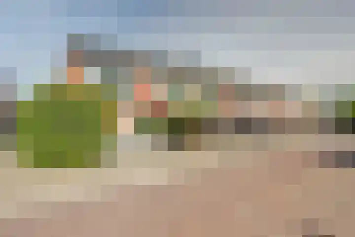 Heimerstein 72 Dordrecht thumbnail 5