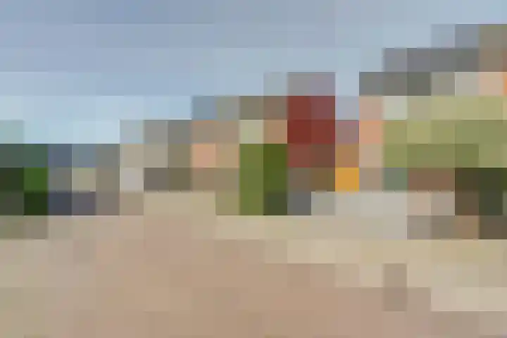 Heimerstein 72 Dordrecht thumbnail 6