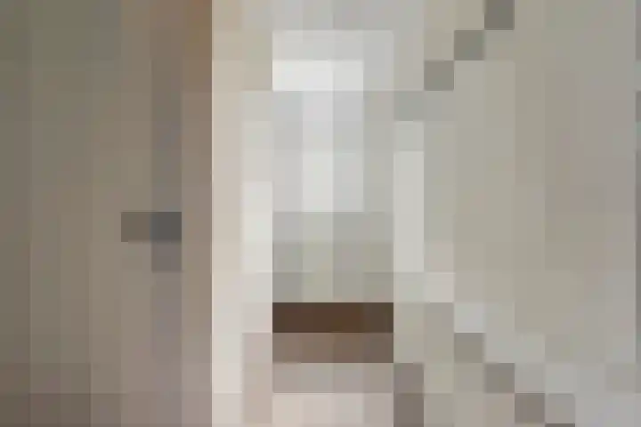 Heimerstein 72 Dordrecht thumbnail 7