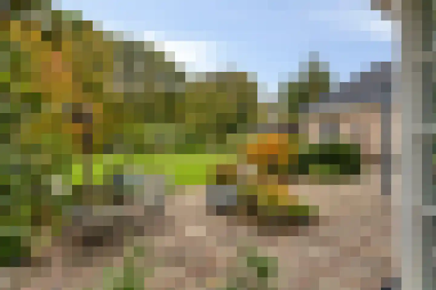 Heimolen 55 Bergen op Zoom thumbnail 11