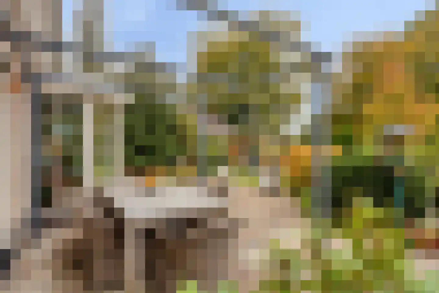 Heimolen 55 Bergen op Zoom thumbnail 37