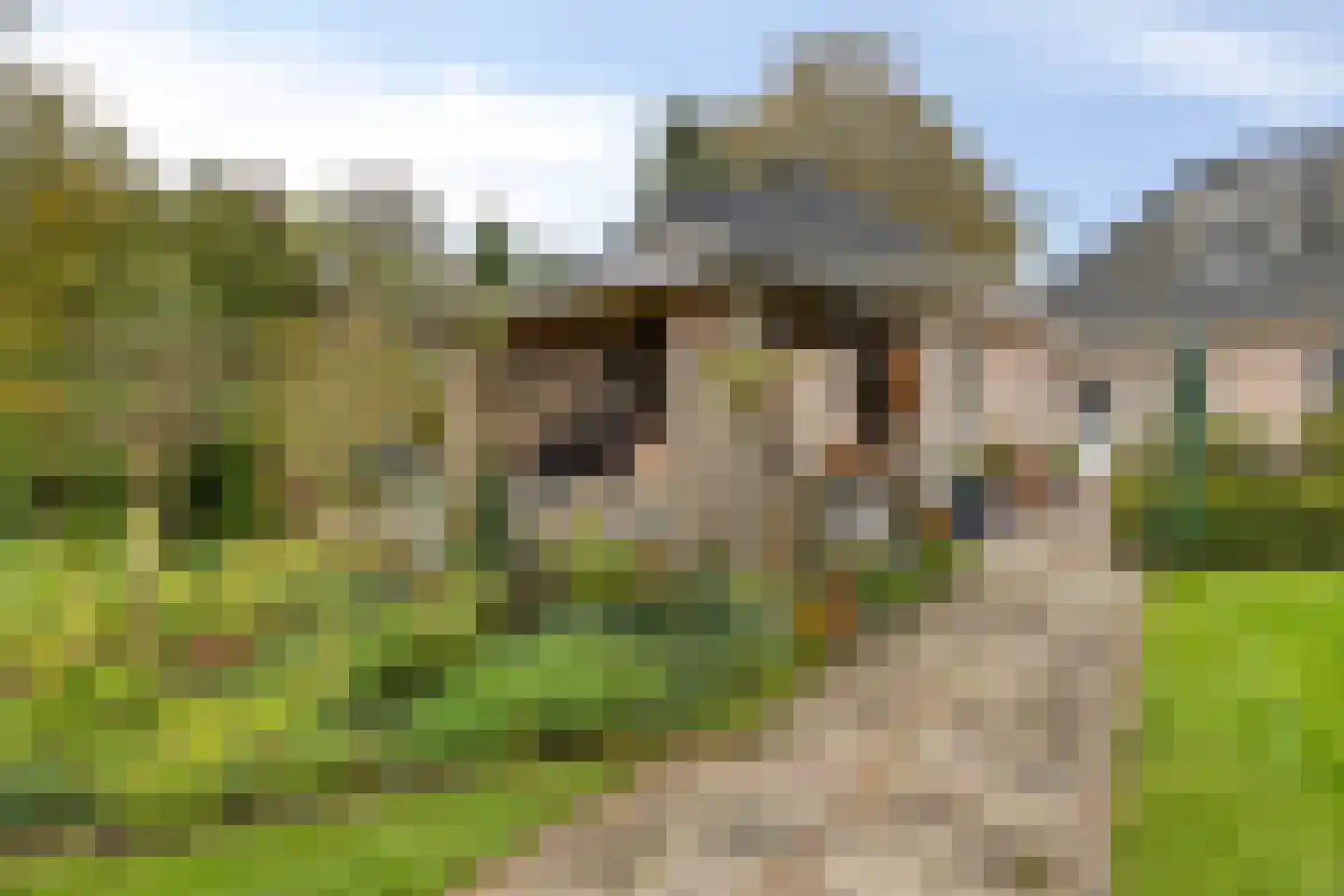 Heimolen 55 Bergen op Zoom thumbnail 40