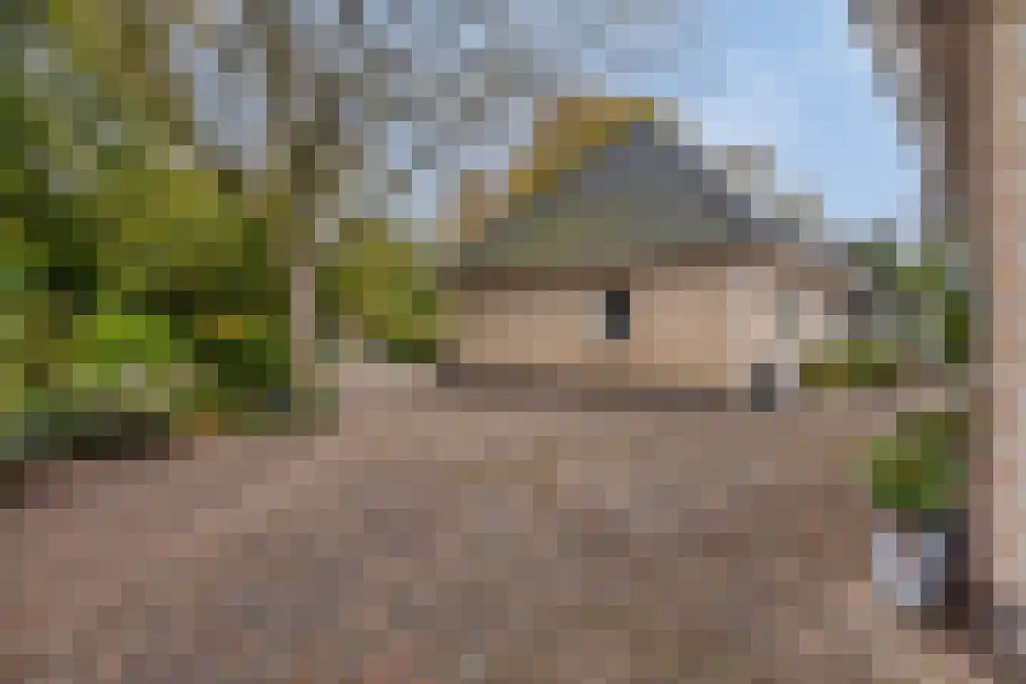 Heimolen 55 Bergen op Zoom thumbnail 53