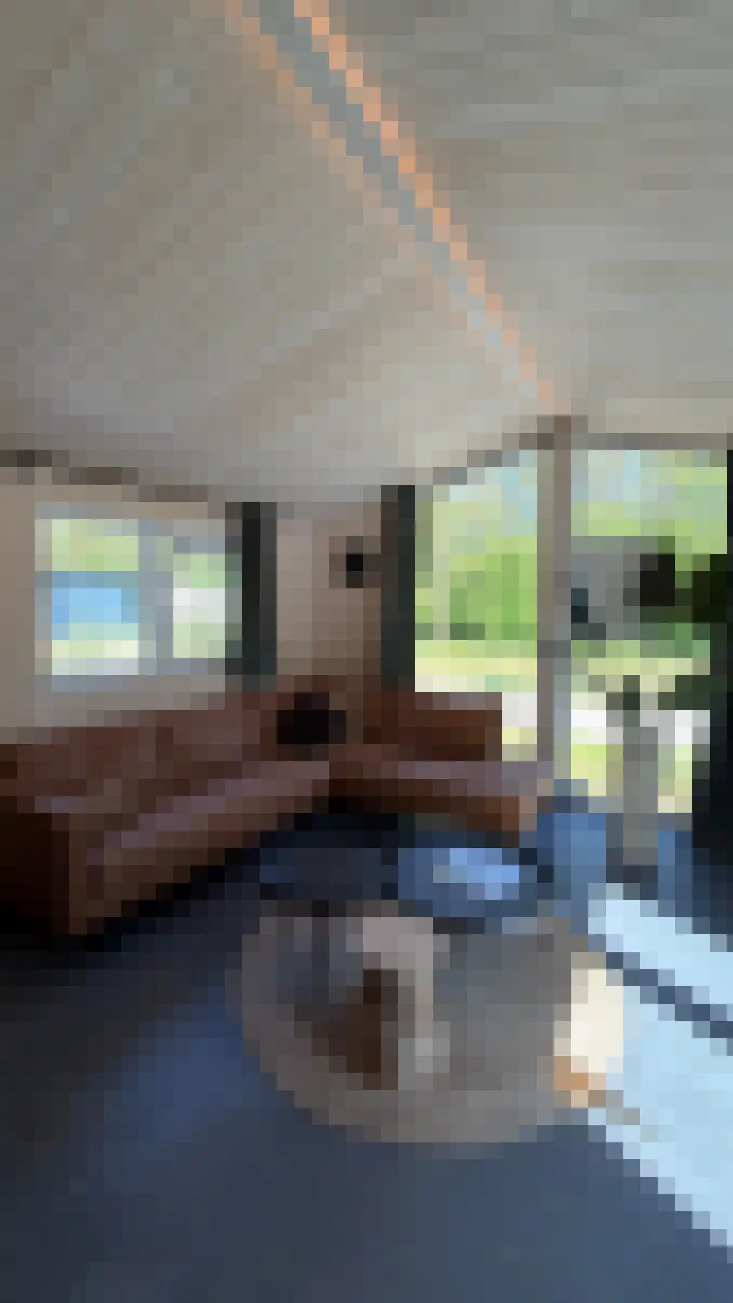 Heimolen 6 Baarle-Nassau thumbnail 9