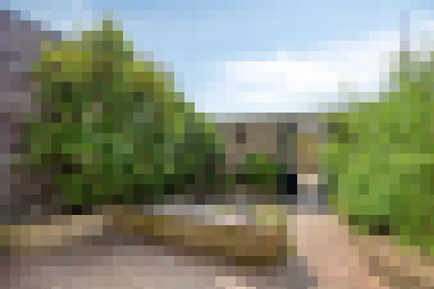 Heimond 20 De Lier thumbnail 27