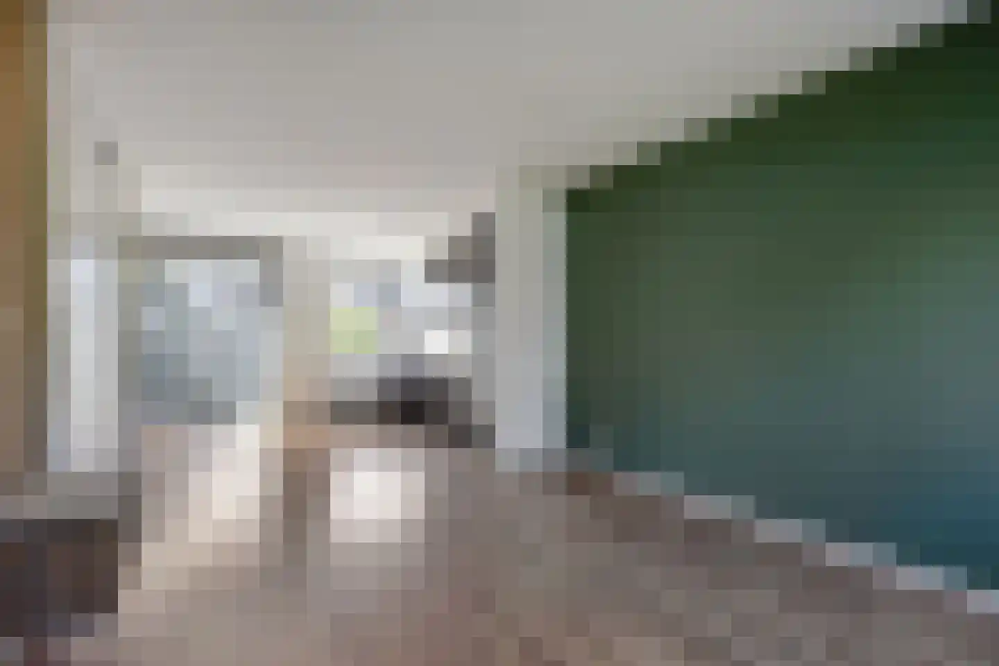 Heimond 20 De Lier thumbnail 5