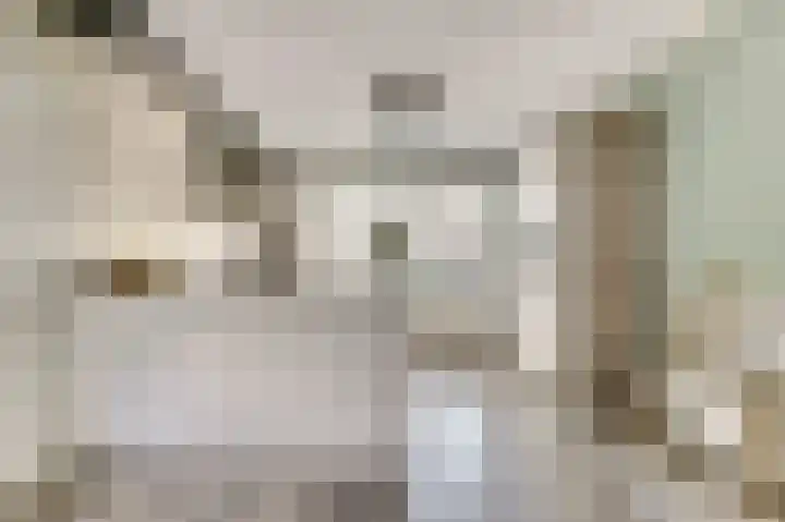 Heimond 27 De Lier thumbnail 14