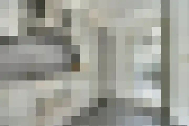 Heimond 29 De Lier thumbnail 16