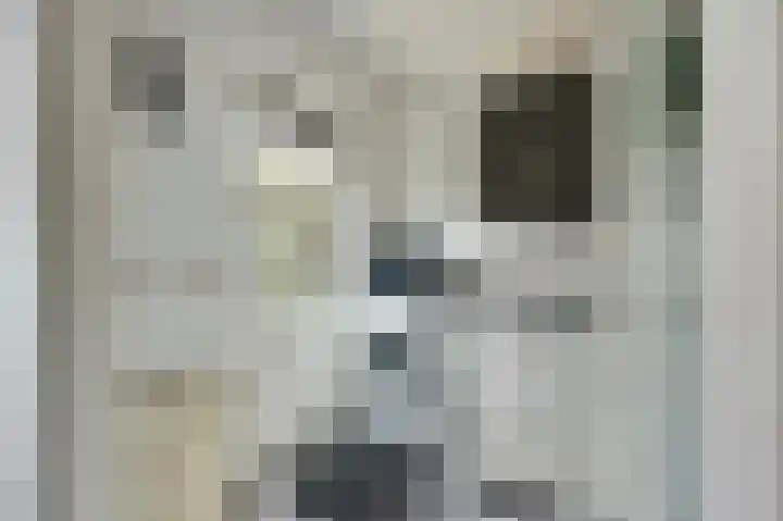 Heimond 29 De Lier thumbnail 17