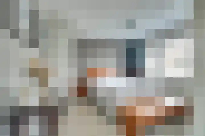 Heimond 29 De Lier thumbnail 22