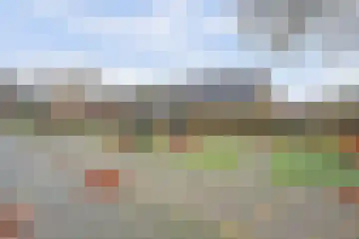 Heimond 29 De Lier thumbnail 40