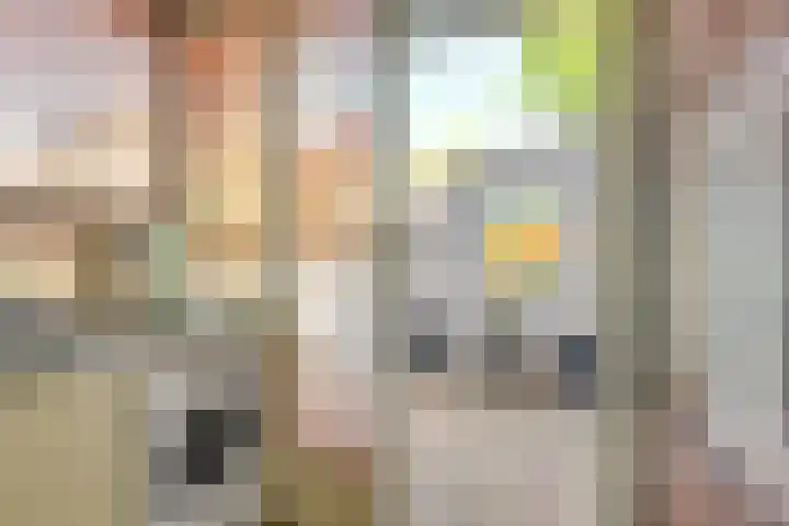 Heimond 59 De Lier thumbnail 10