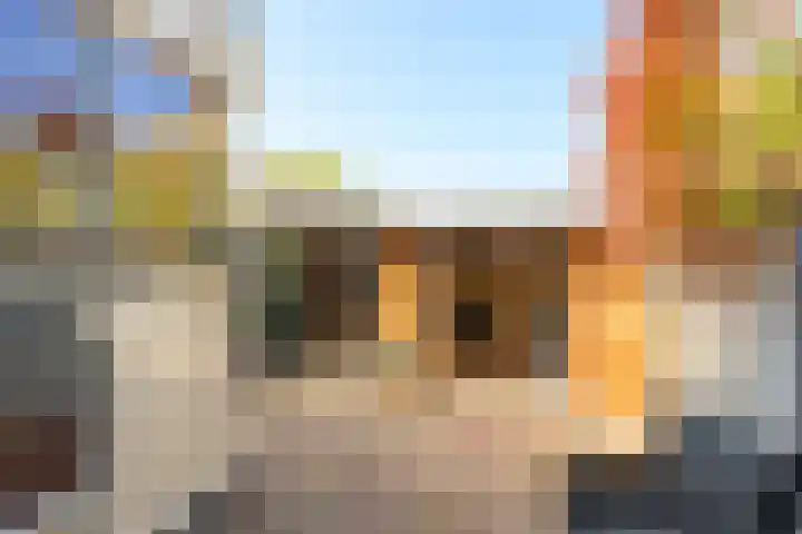 Heimond 59 De Lier thumbnail 11