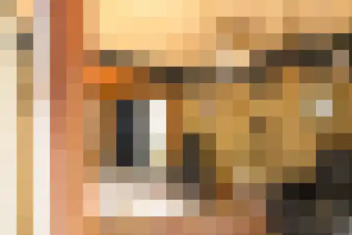 Heimond 59 De Lier thumbnail 12