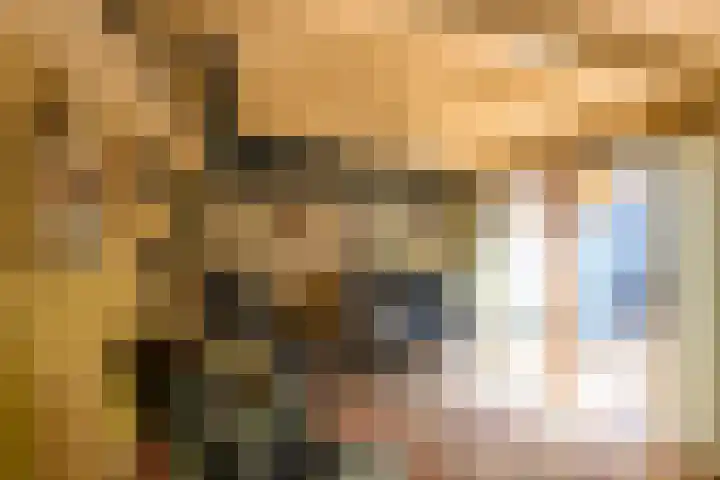 Heimond 59 De Lier thumbnail 13