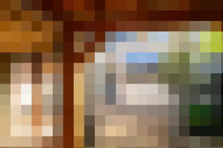 Heimond 59 De Lier thumbnail 14