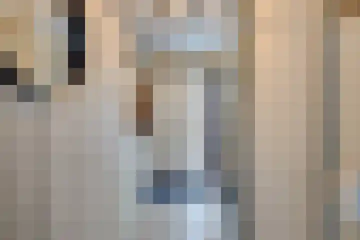 Heimond 59 De Lier thumbnail 16