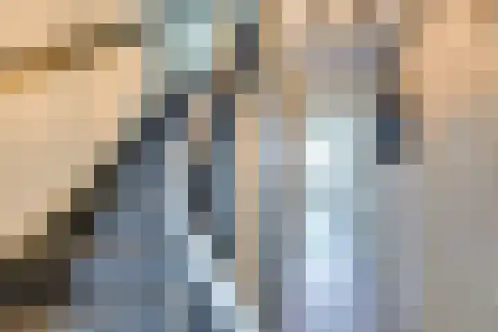Heimond 59 De Lier thumbnail 17