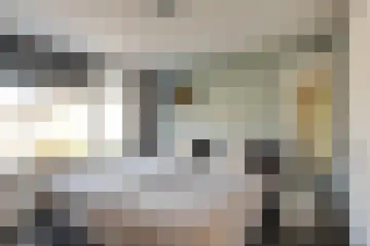 Heimond 59 De Lier thumbnail 19