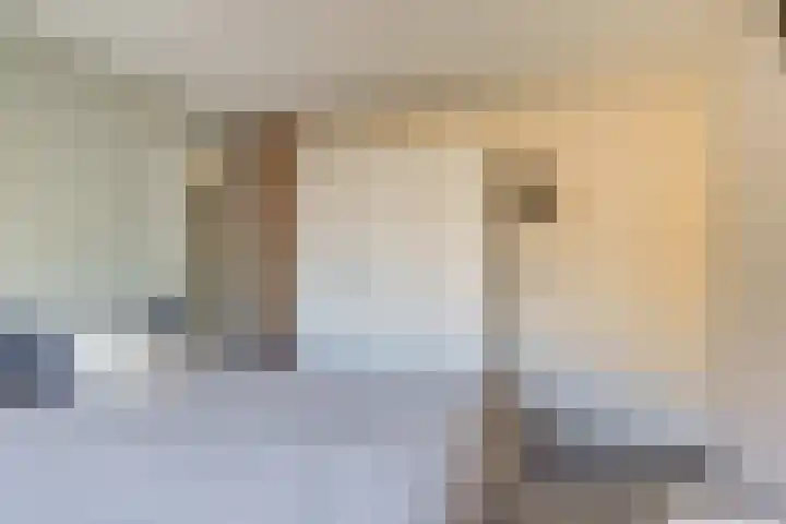 Heimond 59 De Lier thumbnail 20