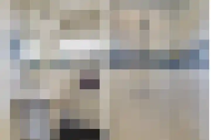 Heimond 59 De Lier thumbnail 21