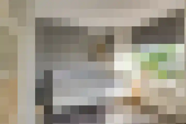 Heimond 59 De Lier thumbnail 22