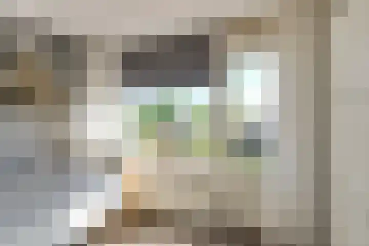 Heimond 59 De Lier thumbnail 23