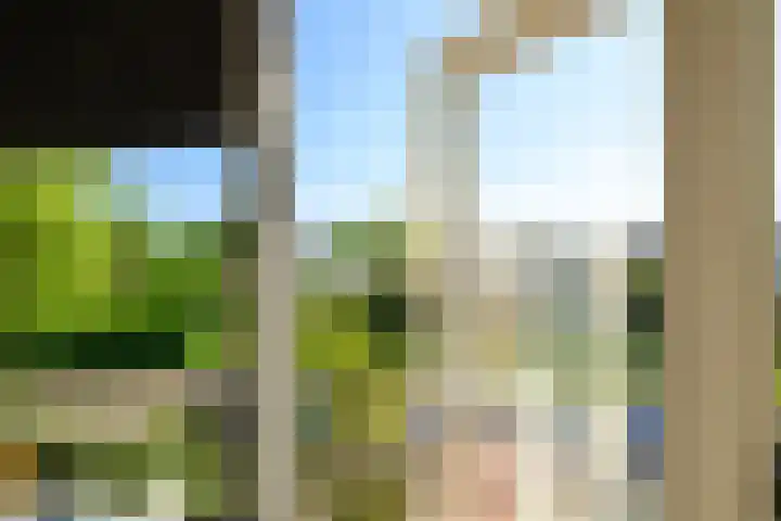 Heimond 59 De Lier thumbnail 24