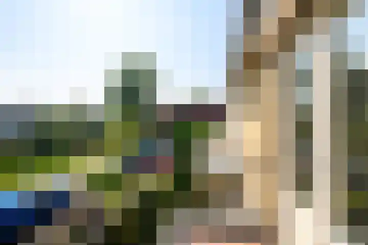 Heimond 59 De Lier thumbnail 25