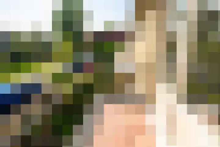 Heimond 59 De Lier thumbnail 26